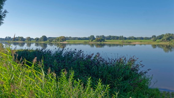 Die Elbe bei Rüterberg im UNESCO Biosphärenreservat Flusslandschaft Elbe. © imageBROKER/MarkusxBeck 