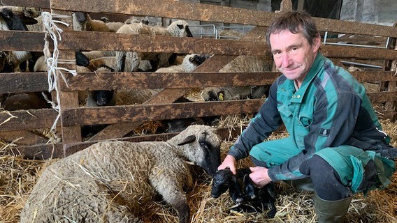 Jörg Pundt mit frischgeborenem Lamm - der Schafzüchter hält das Lamm in den Händen, er kniet in Arbeitsklamotten auf einem Heuboden, im Hintergrund ist ein Gatter zu sehen, durch dessen Öffnungen viele weitere Schafe zu sehen sind. © NDR Foto: Silke Müller