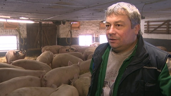 Landwirt Torsten Roder steht in einem Schweinestall.  