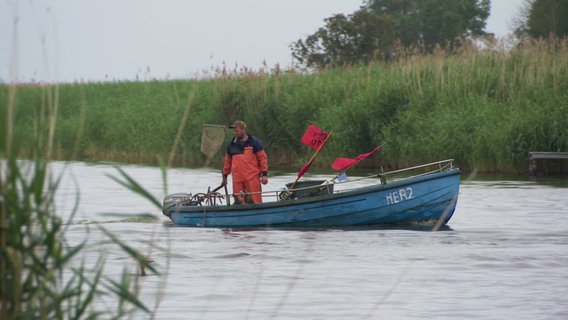 Sebastian Kopp fährt mit seinem Fischerboot raus. © NDR 