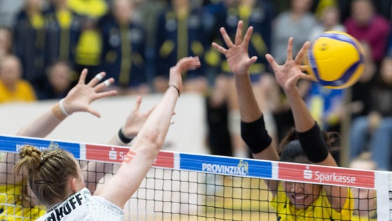 Eine SSC Spielerin blockt einen Ball am Netz. © SSC Palmber Schwerin Foto: Michael Dittmer