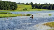 Forschungstaucher vor einem Einsatz im Fluss des Tals © Universität Greifswald Foto: Dr. Gundula Lidke