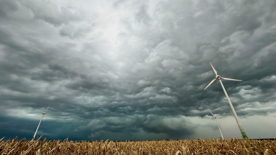 Dunkle Wolken über einem Getreidefeld und Windkraftanlagen in der Nähe von Wolgast. © Tilo Wallrodt Foto: Tilo Wallrodt