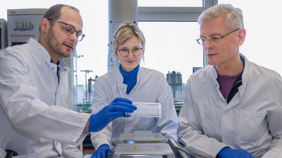 Prof. Thomas Thiele, Dr. Linda Schönborn und Prof. Andreas Greinacher (v.l.n.r.) von der Transfusionsmedizin in Greifswald. © Universitätsmedizin Greifswald 