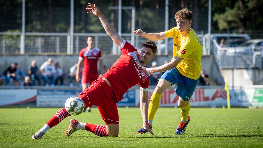 Sport in Vorpommern: Greifswalder FC und Wildcats verlieren