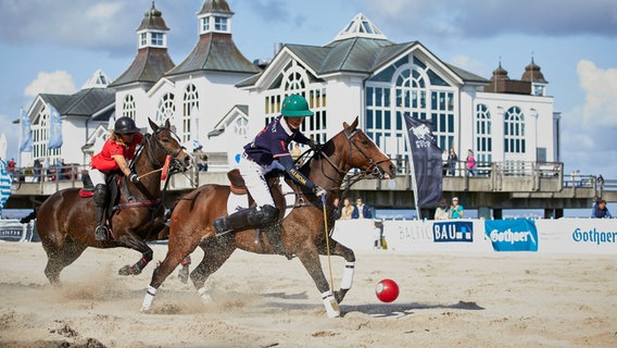 Zwei Polo-Spieler sitzen auf ihren Pferden und spielen Polo. © Polo Sylt & Baltic Polo Events Foto: Polo Sylt & Baltic Polo Events