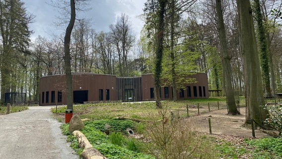 In einem Wald liegt ein modernes Gebäude - der Eingang zum Tierpark in Wolgast © NDR Foto: Mirja Freye