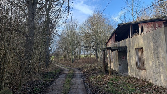 Ein Waldweg mit Bäumen links und recht. Auf der rechten Seite liegt ein verlassenes, altes Gebäude. © Christine Waubke, Hundezentrum Rügen Foto: Christine Waubke, Hundezentrum Rügen