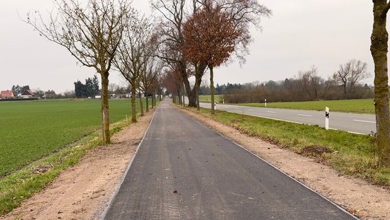 Der straßenbegleitende Radweg an der Kreisstraße VG 106 Daberkow © Pressestelle Landkreis Vorpommern-Greifswald 