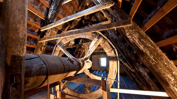 Ein mittelalterliches Aufzugsrad aus Holz im inneren des Stralsund Museums . © Hansestadt Stralsund / Pressestelle 