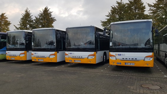 Mehrere Dieselbusse des kommunalen Verkehrsunternehmens Nahbus in Nordwestmecklenburg. © Nahbus Foto: Nahbus