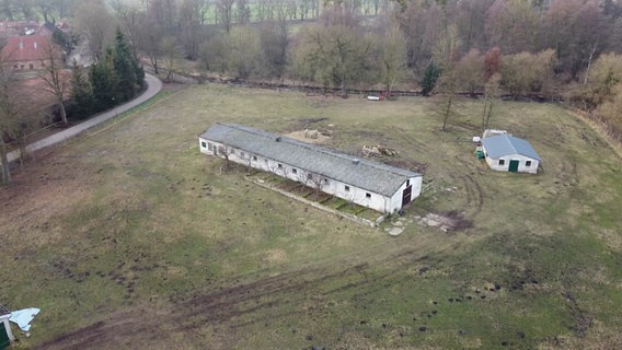 Eine Pferdekoppel in Redefin. Hier war Mitte Januar ein totes Pferd entdeckt worden. © NDR Screenshots Foto: Raik Raupach