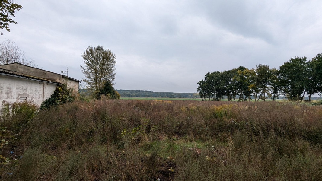 Ein- und Mehrfamilienhäuser: Neues Baugebiet in Schwerin geplant