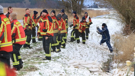 Die Freiwillige Feuerwehr Wolgast, Hohendorf, das THW OV Wolgast, die Ordnungsbehörde und der Baubetriebshof Wolgast verteilen Sandsäcke zu Deichverstärkung. © Tilo Wallrodt Foto: Tilo Wallrodt