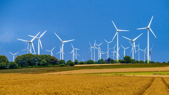 Windräder stehen auf einem Feld © Jochen Tack Foto: Jochen Tack