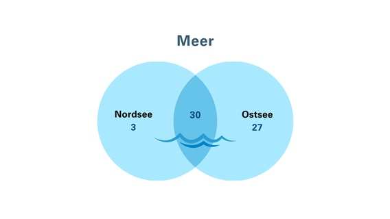 Das Bild zeigt eine Grafik mit einer Übersicht der Badeunfaälle in Nord- und Ostsee. © DLRG 