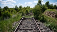 Das Foto zeigt eine stillgelegte Bahnstrecke. © dpa-Bildfunk Foto: Marijan Murat