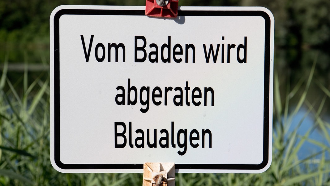 Ein Schild weist auf eine Badeverbot wegen Blaualgen hin.