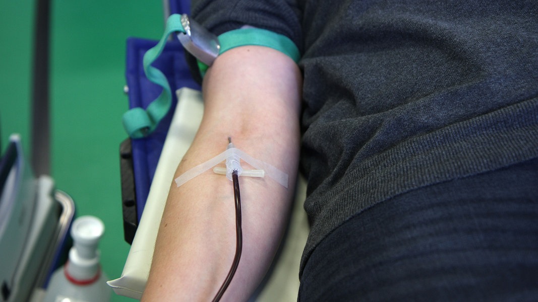 UKSH and DRK sound the alarm: too few blood donations |  NDR.de – News