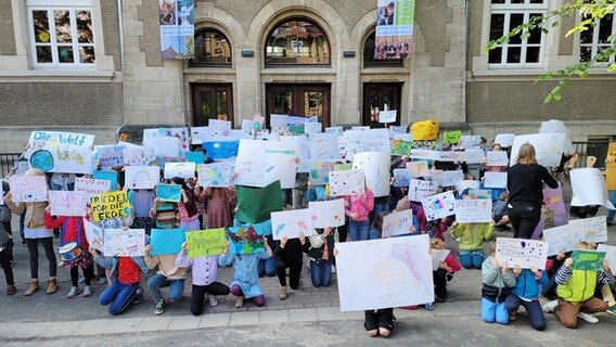 Schüler der Comeniusschule in Braunschweig halten Plakate vor ihre Gesichter © NDR Foto: Kevin Poweska