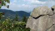 Ein Blick von einem Berg im Harz ins Tal. © Regionalverband Harz Foto: Klaus George