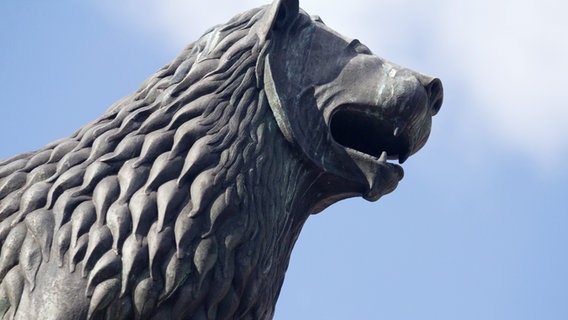 Eine Löwenstatue auf dem Burgplatz in Braunschweig © NDR Foto: Uwe Day