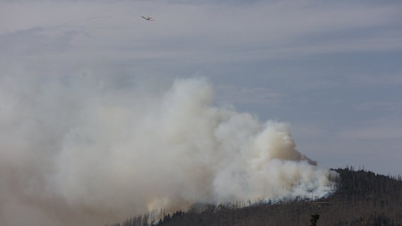 Ein Löschflugzeug fliegt über einem stark verqualmten Waldgebiet im Harz am Königsberg. © Matthias Bein/dpa +++ dpa-Bildfunk +++ Foto: Matthias Bein