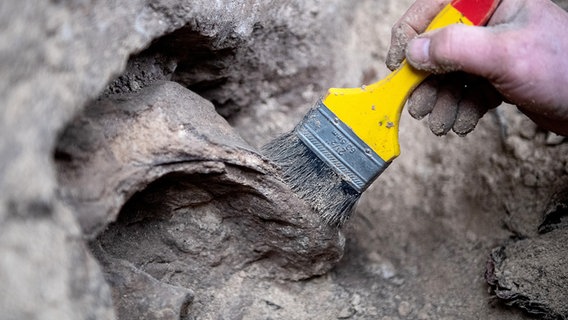 Ein Ausgrabungsstelle wird mit einem Pinsel gereinigt. (Themenbild) © picture-alliance Foto: Swen Pförtner