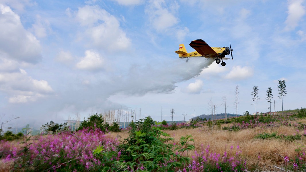 Das Löschflugzeug Hexe 1 aus dem Landkreis Harz ist im Anflug auf ein Einsatzgebiet im Landkreis Goslar.