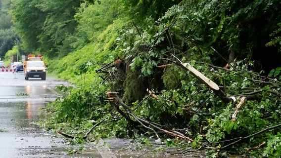 Bäume und Zweige liegen nach einem Unwetter in Hann. Münden. © TeleNewsNetwork 