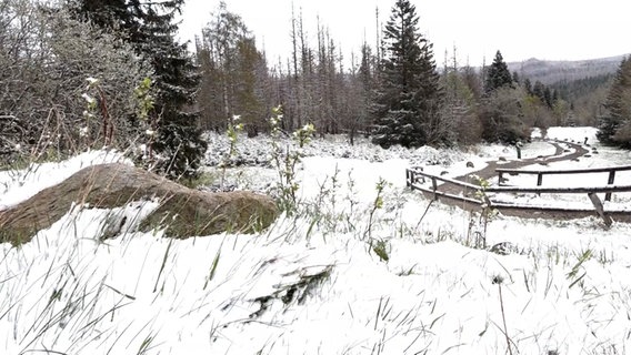 In Torfhaus liegt Schnee. © Nord-West-Media TV 