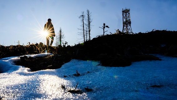 Eine Frau läuft bei Sonnenschein zwischen Schneeresten über den Bocksberg bei Goslar-Hahnenklee im Harz. © picture alliance / dpa | Julian Stratenschulte Foto: Julian Stratenschulte