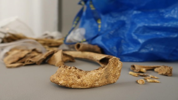 Mehrere Knochenfragmente liegen auf einem Tisch, dahinter ist eine Ikea-Tasche zu sehen. © Stadt Fulda/dpa Foto: Stadt Fulda