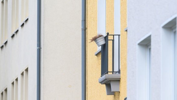 Braunschweig: Blick auf Mehrfamilienhäuser in der Innenstadt. © dpa-Bildfunk Foto: Julian Stratenschulte