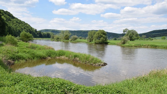 Die Oberweseraue bei Pegesdorf im Landkreis Holzminden © UIH Planungsbüro Foto: Bernd Schackers