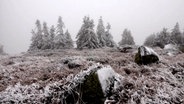 Schnee auf dem Brocken © Nord-West-Media TV 