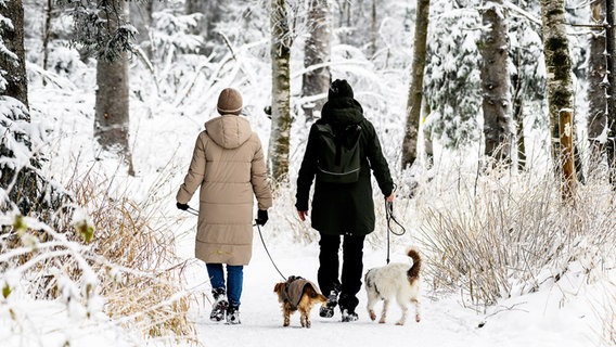 Zwei Menschen gehen mit ihren Hunden über einen verschneiten Wanderweg im Harz. © Swen Pförtner/dpa Foto: Swen Pförtner/dpa