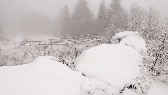 Schnee liegt auf einem Wanderweg im Harz. © Nord-West-Media TV 