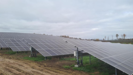 Das Foto zeigt einige der Solarmodule des neuen Solarparks in Deiderode bei Göttingen © NDR / Theresa Möckel Foto: Theresa Möckel