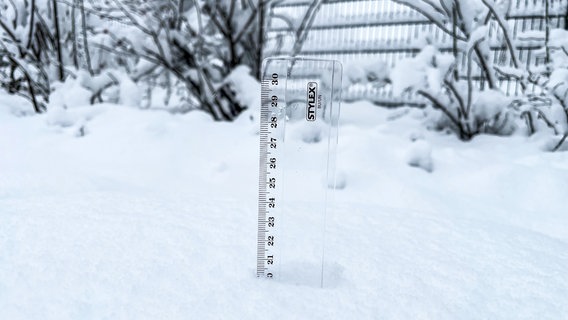 Ein Lineal steckt im Neuschnee, der den 20 Zentimeter-Marker erreicht. © NDR Foto: Jan Fragel