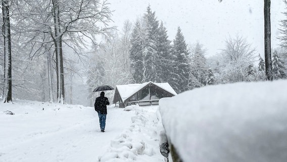 Ein Mann spaziert bei Schneefall auf einem Waldweg im Solling. © NDR Foto: Jan Fragel