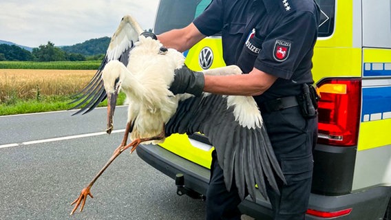 Ein Polizist hat in Langelsheim (Landkreis Goslar) einen Storch eingefangen. © Polizeiinspektion Goslar 