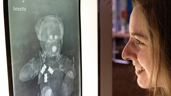 Eine Helferin schaut sich beim Teddybär-Krankenhaus am Uniklinikum Göttingen ein Röntgenbild mit einem Teddybären an. © Swen Pförtner/dpa Foto: Swen Pförtner