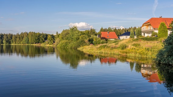 Der Oberer Hausherzberger Teich in Clausthal-Zellerfeld im Harz. © picture alliance / DPA Foto: Patrice von Collani