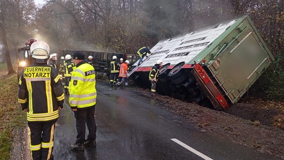 Ein Rindertransporter liegt in einem Straßengraben nach einem Unfall. © Kreis-Feuerwehr Gifhorn 