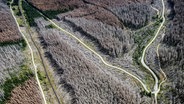 Eine Luftaufnahme zeigt zerstörten Wald © dpa/picture-alliance Foto: Swen Pförtner