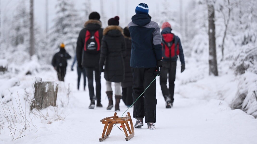Eine Gruppe Wanderer geht durch den verschneiten Harz, einer zieht einen Schlitten hinter sich her.