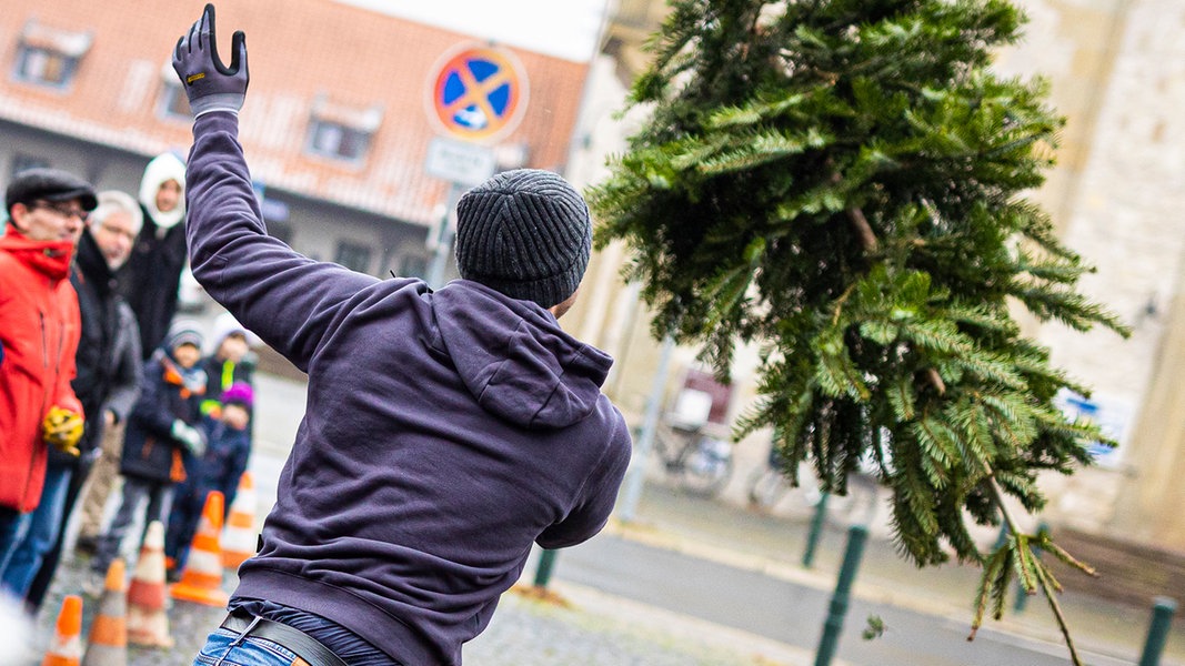 Celle Lädt Zum Ersten Weihnachtsbaum-weitwurf-wettbewerb Ein 