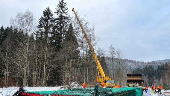 Das Fällen einer riesigen Fichte im Harz wird vorbereitet. © NDR Foto: Jan Fragel