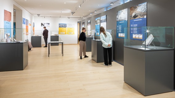 Blick in die Sonderausstellung "Versteinertes Wetter" im Staatlichen Naturhistorischen Museum Braunschweig © Staatliches Naturhistorisches Museum, Marek Kruszewski Foto: Marek Kruszewski